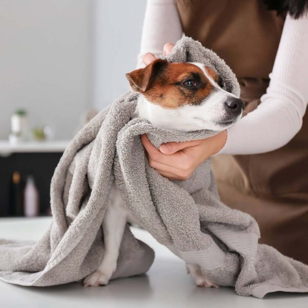 microfiber-dog-towel-for-drying-dogs